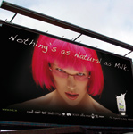 MILKING IT